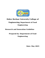 Research and Innovation Guideline.docx